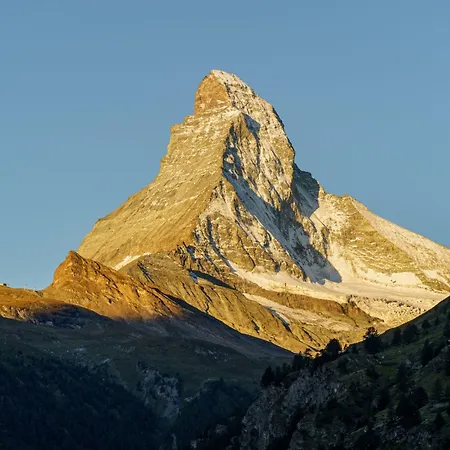 Alpenroyal