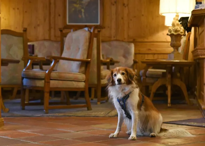 Szálloda Alpenroyal Zermatt