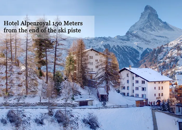 アルペンロイヤル